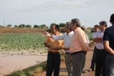 El consejero de Agricultura y Agua visita los cultivos del Campo de Cartagena anegados por las lluvias