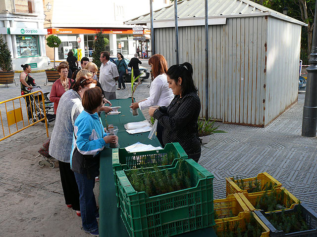 El Departamento de Medio Ambiente de Jumilla reparte mil ejemplares de pino dentro de la campaña A Limpiar el Mundo - 1, Foto 1