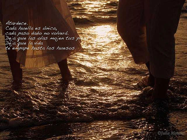 Emociones, más que una simple exposición - 4, Foto 4