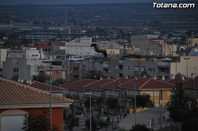 Un buitre en Totana - 72