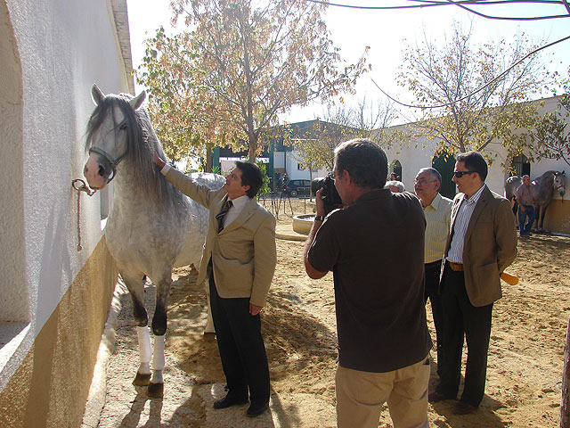 La Infanta Elena acepta la Presidencia de Honor de la Feria del Caballo de Lorca, Fericab - 1, Foto 1