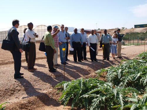 Miembros de la delegación extranjera comprueban los ensayos sobre cultivos hortícolas realizados en las parcelas de 