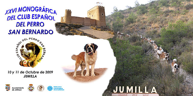 Más de 70 perros San Bernardo participarán en Jumilla en el XXVI Monográfico del Club Español de esta raza - 3, Foto 3