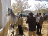 La Infanta Elena acepta la Presidencia de Honor de la Feria del Caballo de Lorca, Fericab