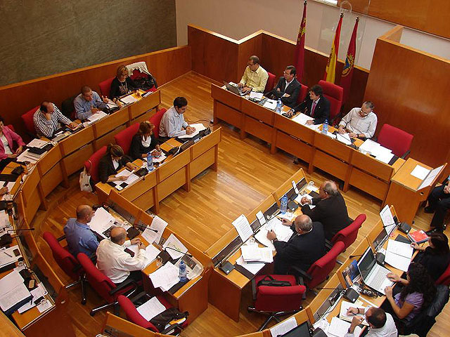 El Pleno de Lorca respalda la propuesta del Equipo de Gobierno Local para bajar el sello del coche y congelar el resto de impuestos municipales - 1, Foto 1