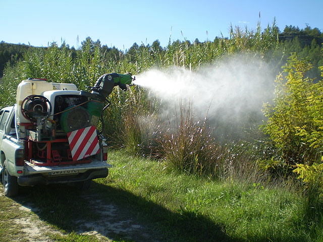 El Ayuntamiento multiplica horarios y personal contra los mosquitos - 1, Foto 1