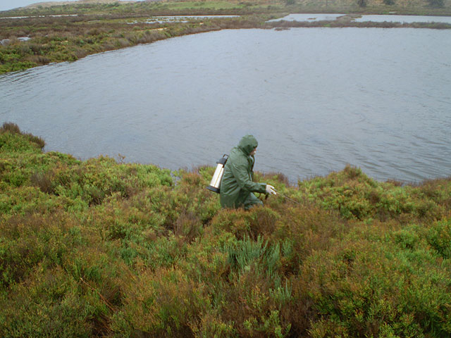 El Ayuntamiento multiplica horarios y personal contra los mosquitos - 2, Foto 2