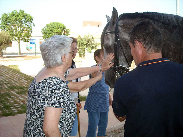 Estimulación de mayores con animales en El Algar - 2, Foto 2
