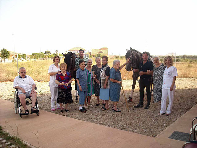 Estimulación de mayores con animales en El Algar - 3, Foto 3