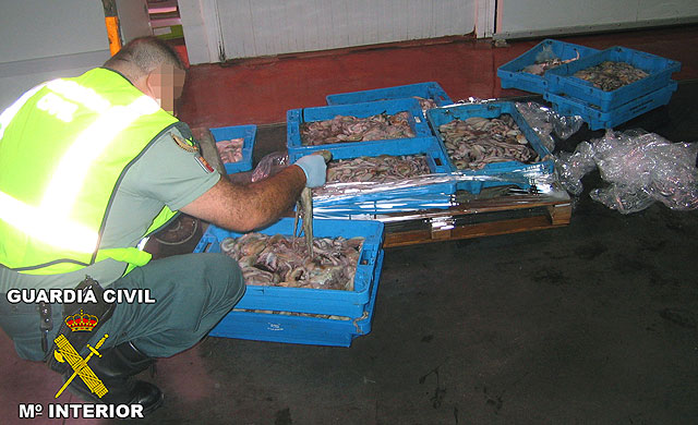 La Cuardia Civil de Murcia decomisa más de 100 kilos de “pezqueñines” de pulpo y pescadilla - 1, Foto 1