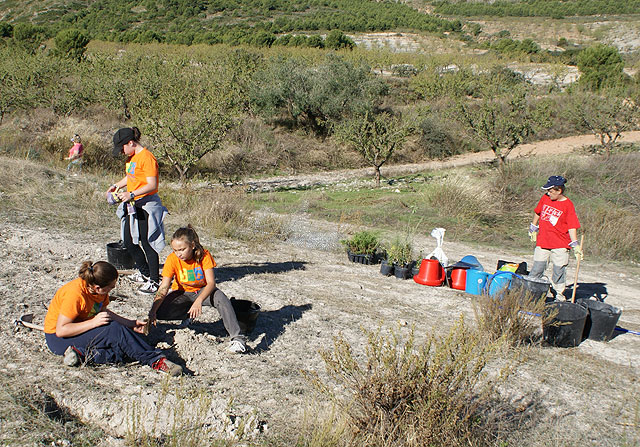 Puerto Lumbreras acoge la II Campaña de Reforestación en el Cabezo la Jara - 1, Foto 1