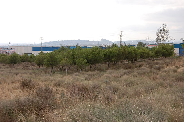 Lorquí verá rehabilitado el parque natural situado junto al Polígono Industrial El Saladar - 2, Foto 2