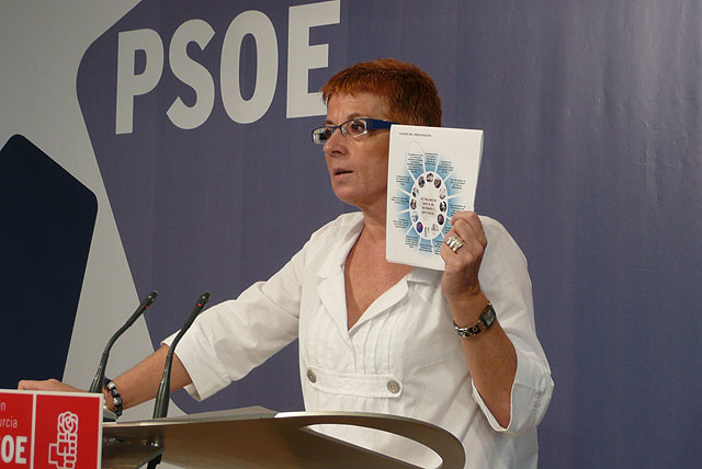 El PSOE denuncia falta de rigor y de austeridad del Gobierno regional con respecto a los presupuestos de la Comunidad - 1, Foto 1