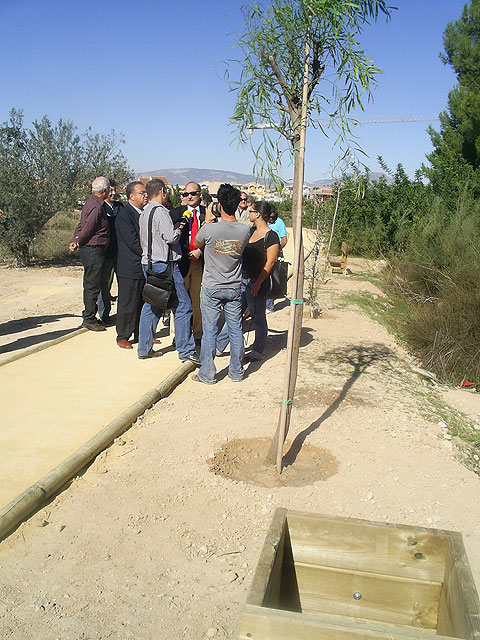 La CHS crea un paseo fluvial en la rambla de Los Olivos de Molina de Segura - 3, Foto 3