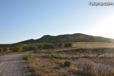 La Agrupaci�n de Senderistas y Montañeros de la Regi�n de Murcia (ASM) se va por los senderos de las tierras de Lorca y Totana este fin de semana