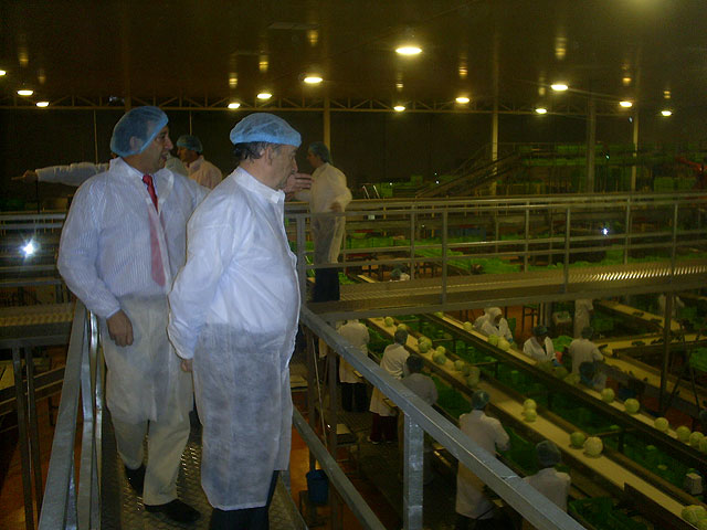 Fuentes Zorita visita una empresa agroindustrial en Dolores de Pacheco (Torre Pacheco) - 1, Foto 1