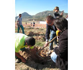 Agricultura acometer el prximo año el proyecto del Cinturn Verde de Alumbres