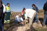 Voluntarios plantan 1.000 arboles en Alumbres con la campaña Ven y Siembra Vida