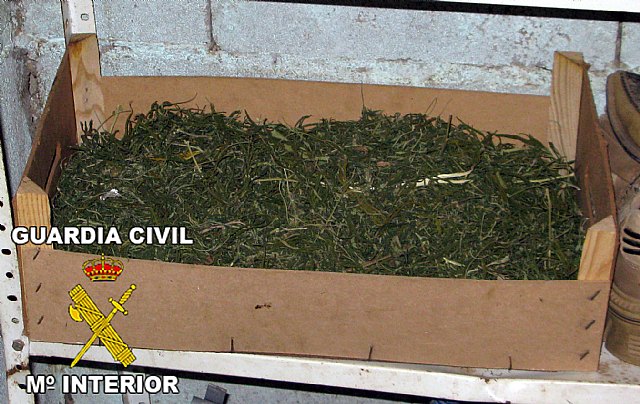 La Guardia Civil detiene a cuatro personas dedicadas a cometer robos con violencia y al tráfico de drogas - 2, Foto 2