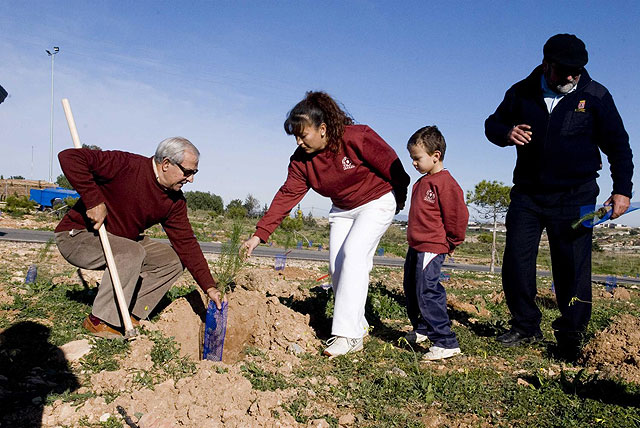 El sábado se plantarán 250 pinos en el entorno del Ecoparque - 1, Foto 1