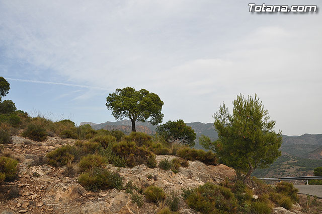 La Concejala de Turismo edita un folleto informativo para promocionar el Va Crucis del santuario de Santa Eulalia de Mrida - 5