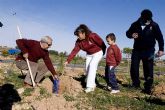 El sbado se plantarn 250 pinos en el entorno del Ecoparque