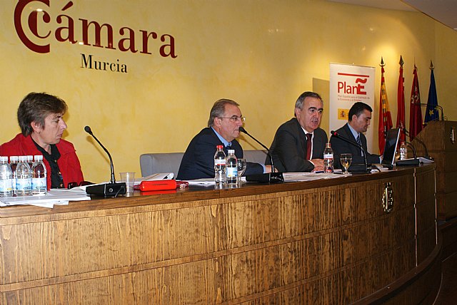 El delegado del Gobierno se rene con los alcaldes de la Regin para analizar el nuevo Fondo Estatal para el Empleo y la Sostenibilidad Local, Foto 1