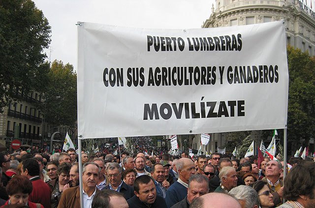 Más de 200 lumbrerenses acudieron a la Movilización Agraria en Madrid - 1, Foto 1