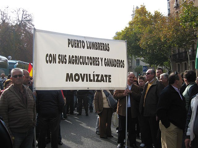 Más de 200 lumbrerenses acudieron a la Movilización Agraria en Madrid - 2, Foto 2