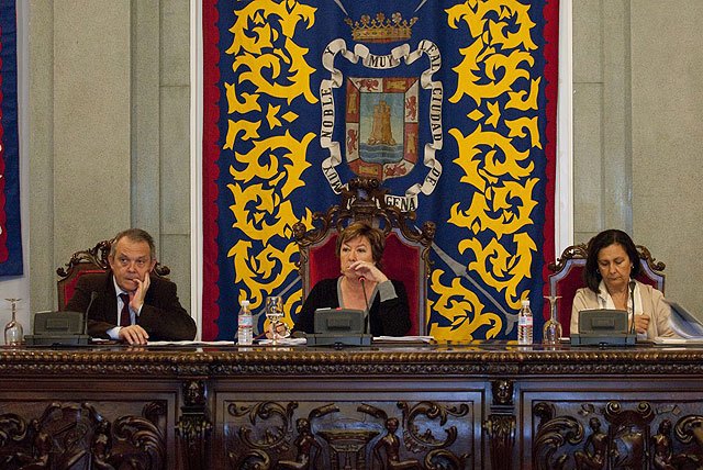 Apoyo unánime a la lucha contra la violencia de género en el Pleno municipal - 2, Foto 2