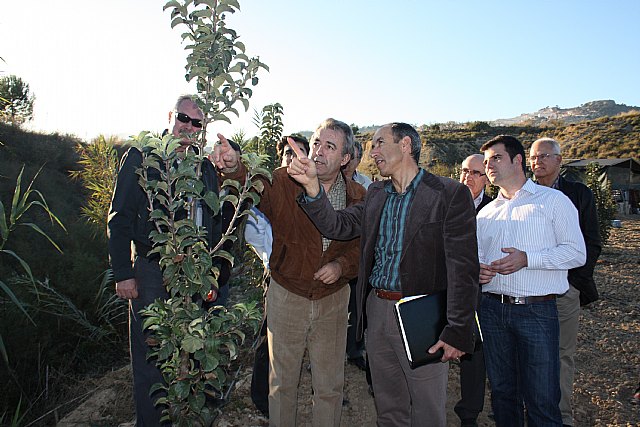El consejero de Agricultura y Agua, Antonio Cerdá, acompañado del alcalde de Cehegín, José Soria, y de agricultores de la zona, visitó hoy las plantaciones de Pero de Alcuza, en el marco de un proyecto de recuperación de este fruto que la Consejería realiza junto con el Ayuntamiento., Foto 1