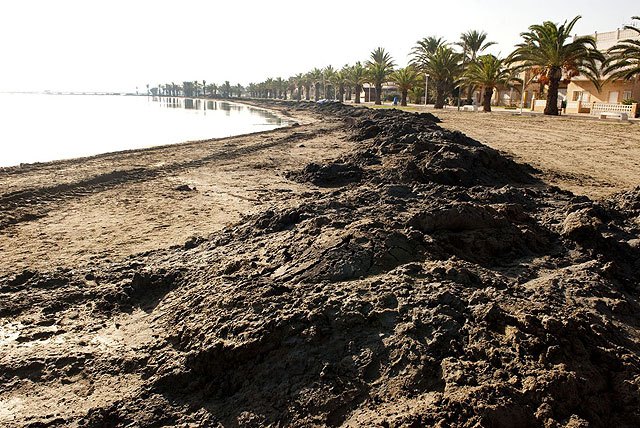 Costas y el Instituto del Litoral regeneran la arena de la playa de Los Urrutias - 2, Foto 2