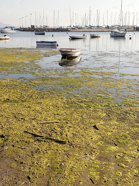 Costas y el Instituto del Litoral regeneran la arena de la playa de Los Urrutias - 3, Foto 3