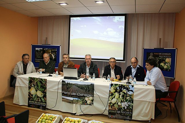 La primera plantación de peros de Cehegín comienza a dar sus frutos - 2, Foto 2