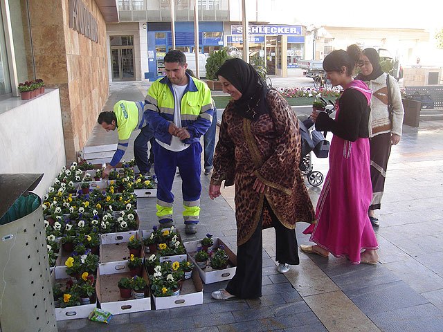 Reparto de plantas, Foto 2