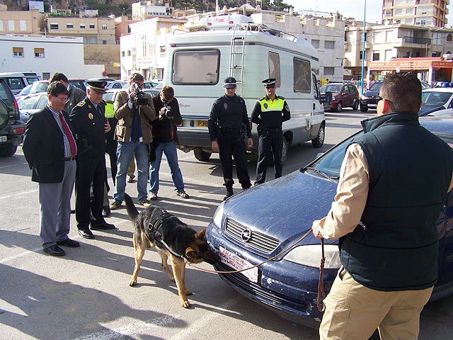 Un perro ayudará  a la Policía Local de Águilas en las labores de detección de drogas - 1, Foto 1