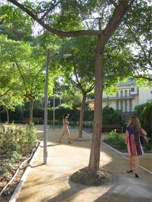El Ayuntamiento realiza una renovación integral de tres jardines de La Alberca y Algezares - 1, Foto 1