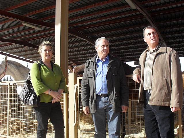 Inaugurada la Feria de Ganado Equino en Puerto Lumbreras - 1, Foto 1