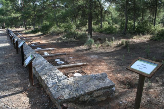 El Parque Ecolgico abre sus puertas - 8