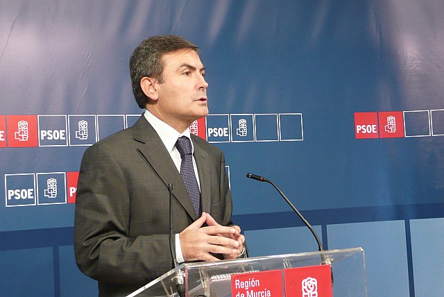 El PSOE pide un Pleno Extraordinario de la Asamblea “para construir juntos una Estrategia de crecimiento sostenible” - 1, Foto 1
