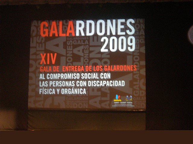 XIV Gala de la Discapacidad, Foto 2