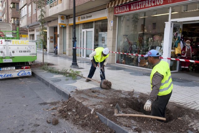 Parques y Jardines renueva el arbolado de Ángel Bruna - 1, Foto 1