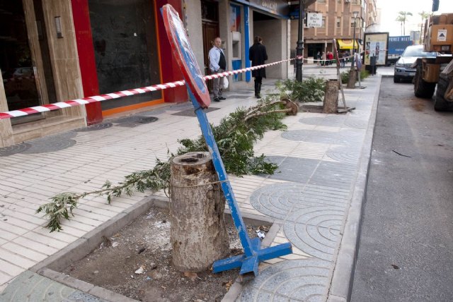 Parques y Jardines renueva el arbolado de Ángel Bruna - 2, Foto 2