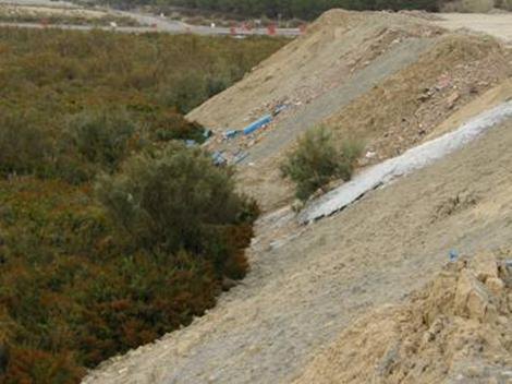 ANSE denuncia la destrucción del saladar protegido de la Boquera de Tabala (Murcia) - 1, Foto 1