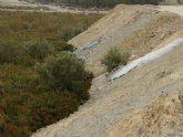 ANSE denuncia la destruccin del saladar protegido de la Boquera de Tabala (Murcia)