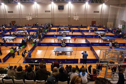 Tenis de mesa. Torneo zonal en La Zubia, Foto 1
