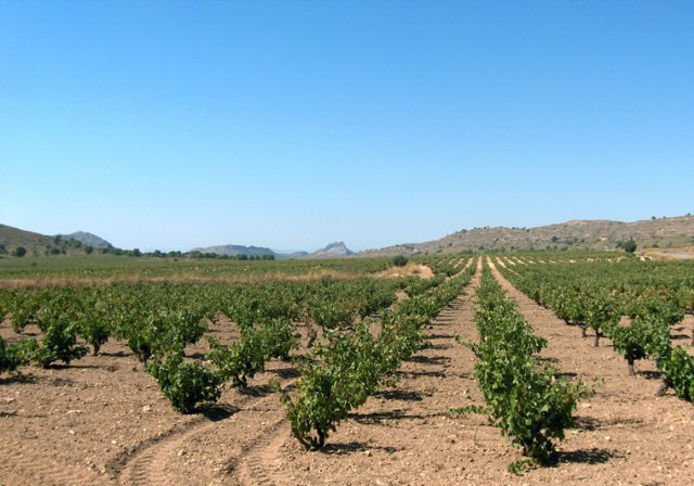 Jumilla forma parte destacada del proyecto El turismo del Nordeste, escapadas No-Typical - 2, Foto 2