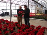 El Ayto. de Lorca ornamentar  con 19.500 plantas los parques y jardines del municipio para dar color navideño a la ciudad, los barrios y las pedanas