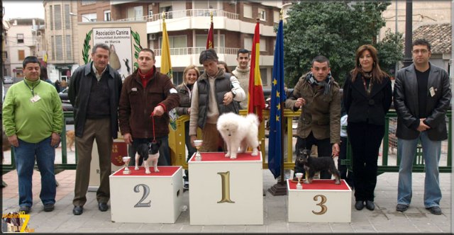 Algunos de los animales premiados junto a sus dueños, organizadores, y autoridades locales. , Foto 1