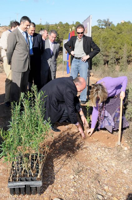 La Universidad de Murcia crea el Parque Norte en el campus de Espinardo. - 3, Foto 3